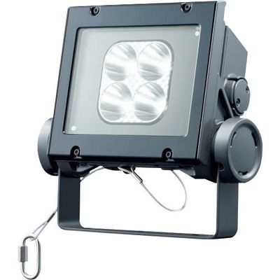 岩崎電気 岩崎 LED投光器(40クラス、狭角タイプ、昼白色タイプ) ECF4040N/NSAN8/DG 1台 535-6410（直送品）