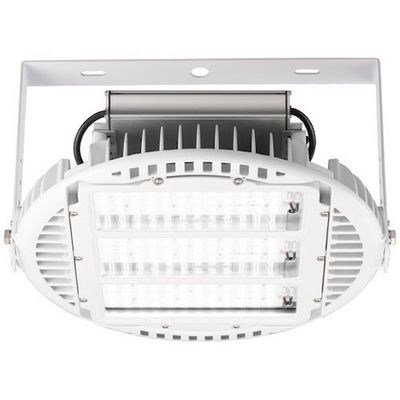 岩崎電気 岩崎 レディオックハイベイシータプラス高温70度対応形 EHWP15021W/NSAN9 1台 535-7950（直送品）