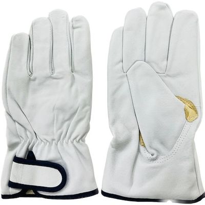 南村製作所 ラッキーワーカー 豚革クレストマジック 内綿 827 フリー 白 827-F 1セット(10双) 495-3871（直送品）