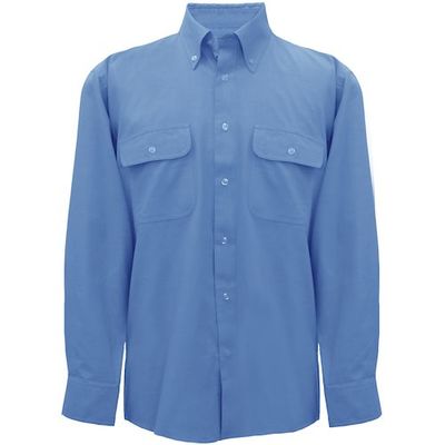 トーマセンイ TEAGLES ボタンダウンダンガリー長袖シャツ サックス LL 5631 SA 1枚 425-6029（直送品）