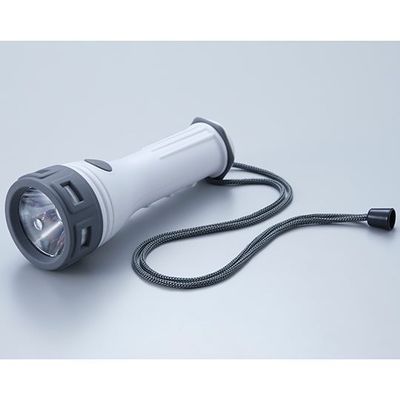 旭電機化成 LED防雨ライト AHL-2204 1個 64-4012-90（直送品）