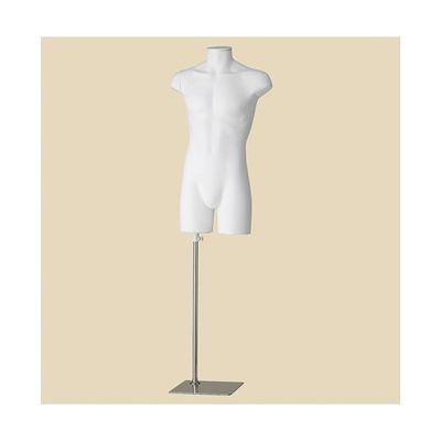 アズワン PP製 紳士トルソー M 白 67-6609-32 1個（直送品）