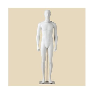 アズワン 紳士 全身腰受けリアルマネキン 直立 M 67-6609-43 1個（直送品）