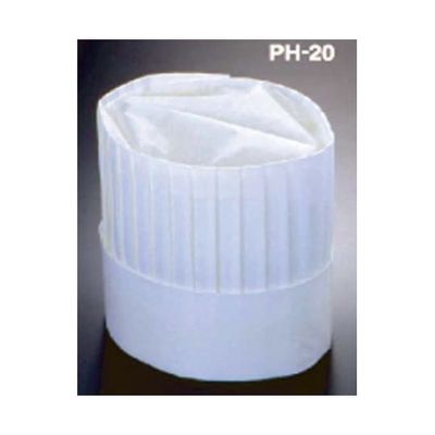 アズワン ニュータイプパリスハット(10枚入)200mm 67-6899-24 1セット(10枚)（直送品）