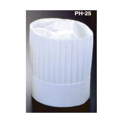 アズワン ニュータイプパリスハット(10枚入)250mm 67-6899-25 1セット(10枚)（直送品）