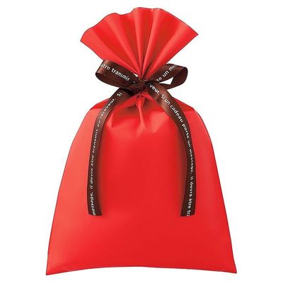 アズワン 無地 梨地ギフトバッグ レッド 幅20×高さ32cm 20枚 67-6872-99 1セット(20枚)（直送品）