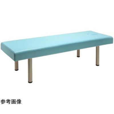 フィフティ・ヴィジョナリー 診察台ベッド [有孔タイプ] 65ー65 ブルー FV-215B-BL-W65-H65 1台（直送品）