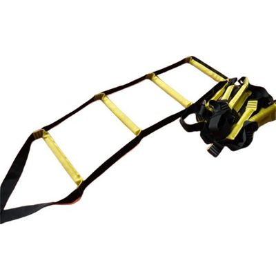 アズワン 槽内入出用ナイロンラダー 3m 67-9247-98 1セット（直送品）