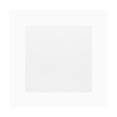 神堂 食品用フィルム 抗菌クリアシート 12×12 100枚入 004716363 1袋(100枚) 65-9114-46（直送品）