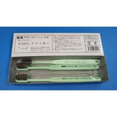 カナヤブラシ産業 歯ブラシ 歯茎マッサージ 1箱(3本入) 64-7733-61 1箱(3本)（直送品）