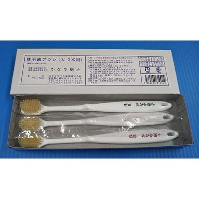 カナヤブラシ産業 歯ブラシ 豚毛 大 1箱(3本入) 64-7733-66 1箱(3本)（直送品）