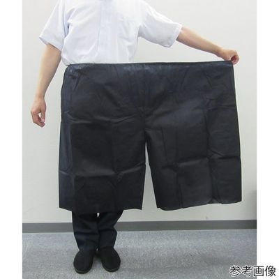 メディテックジャパン 大型注腸パンツ 25枚入 SB-W 1箱(25枚) 65-3907-59（直送品）