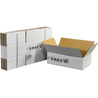 紺屋商事 ダンボール 産地直送お米10kg みかん6kg用 10枚入 01150015 1セット(10枚) 65-1674-33（直送品）