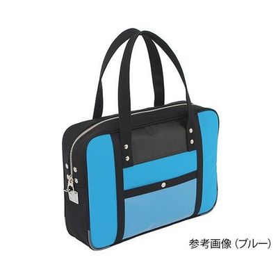 アズワン 帆布メール用ボストン(M)スリム ブルー 馬蹄錠金具付 63-5755-36 1個（直送品）