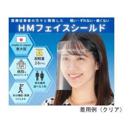 ミノル化学工業 HMフェイスシールド クリア 10個入 (フレーム・シールド各10個) hmfs_clear_10set 1セット（直送品）