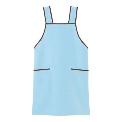 アズワン エプロン サックス 3L 66-0015-58 1枚（直送品）