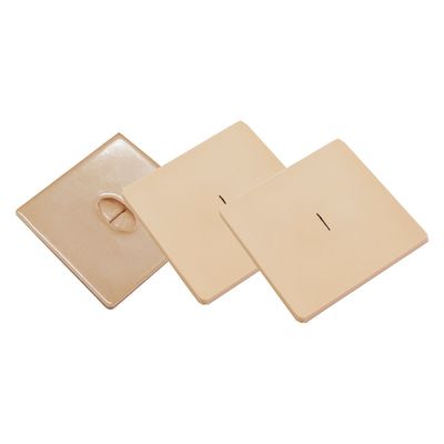 レジーナ ドレーン部処置モデル ー 25241601 BDP-120 1組（直送品）