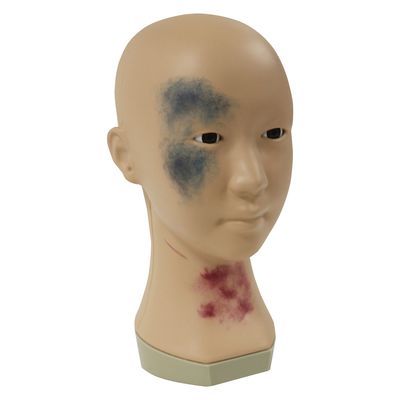 レジーナ メディカルメイクモデル 25241800 BMK-300 1台（直送品）