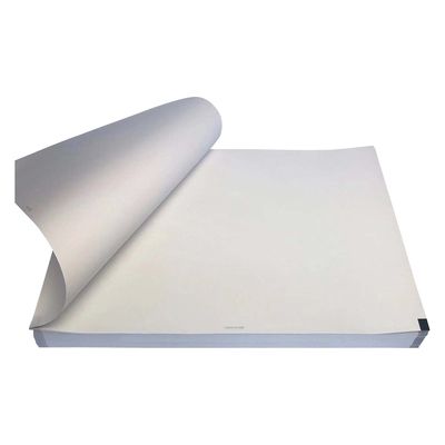 ちばら 心電図用記録紙 25386808 CQW210-10-295(5サツ) 1箱(5入)（直送品）