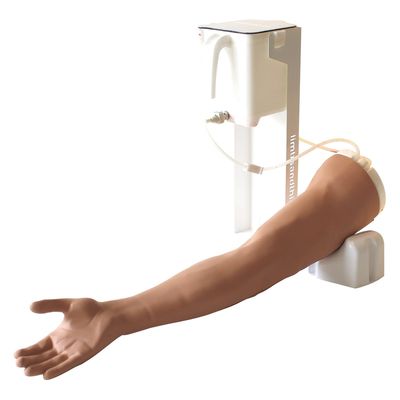 Limbs & Things 静脈穿刺トレーナー(ベーシック) 25553700 170304 1台（直送品）