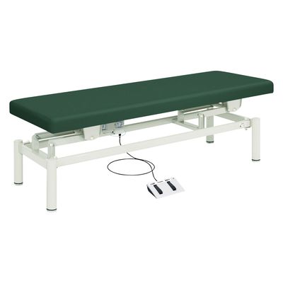 【軒先渡し】高田ベッド 電動診察台(電動ハイローベッド) 25353601 ビニルレザーメディグリーン TB-912(W60XL190CM) 1台（直送品）
