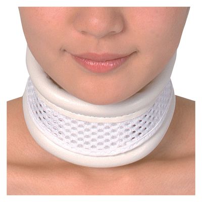 竹虎 ドルフハード2号 035032(S) 1個（直送品）