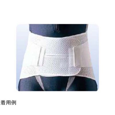 アシスト ハードデラックス・メッシュ 4L 07008 1本 68-4057-52（直送品）