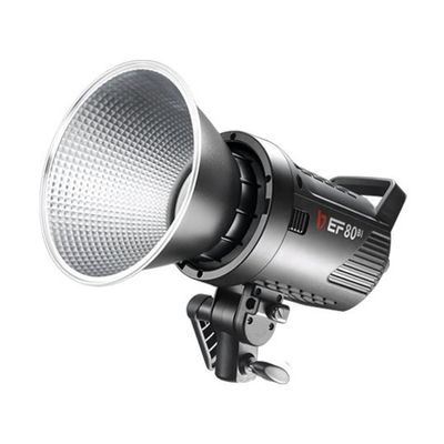 サンテック LEDライト EFー80BI J105 1個 67-7235-53（直送品）