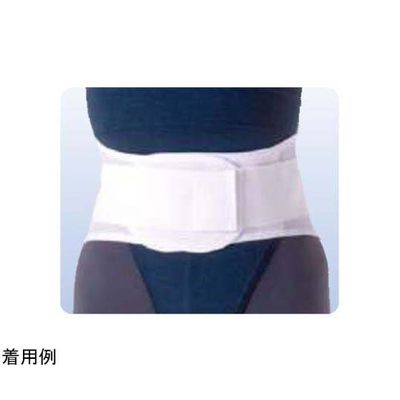 アシスト ウエストサポート(Nパッケージ) LL 01669 1本 68-4058-87（直送品）