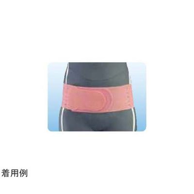 アシスト リフォームラバーバンド ピンク 4L 27026 1本 68-4060-98（直送品）