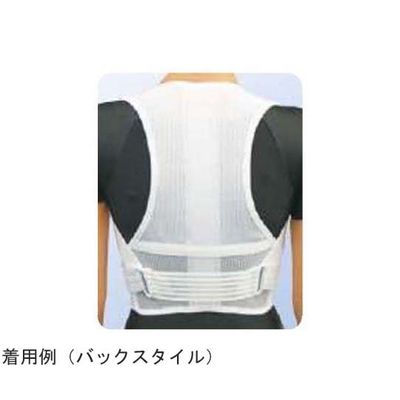 アシスト 背筋すっきりベルトワイドメッシュ(パッド付) L 00392 1本 68-4061-79（直送品）