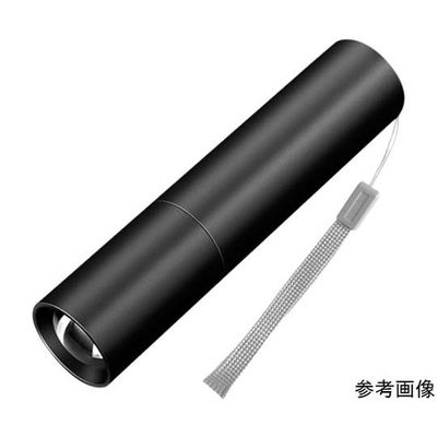 Trimate 充電式LED懐中電灯 ストラップ付 M TR-FL002-M 1個 67-4918-35（直送品）