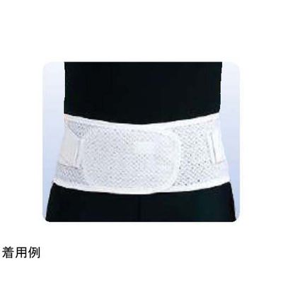 アシスト スレンダーガードメッシュ LL 00746 1本 68-4058-57（直送品）