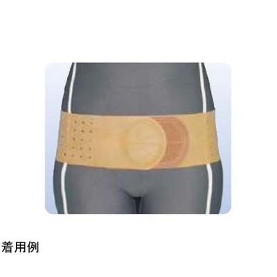 アシスト 丸型骨盤バンド・ハード LL 00349 1本 68-4059-70（直送品）