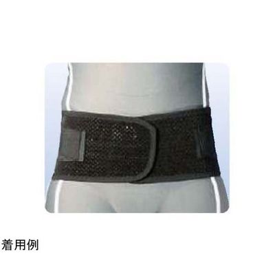 アシスト スーパーAZ ブラック 4L 07052 1本 68-4058-53（直送品）