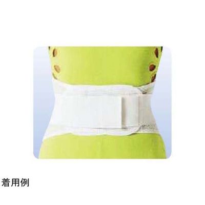 アシスト ウエストサポート(袋パッケージ) M 01637 1本 68-4058-89（直送品）