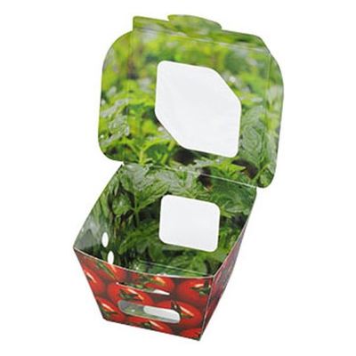 エフピコチューパ フルーツ容器 紙ベジ80角 トマト FMS CP501831 1ケース(600個(50個×12)（直送品）