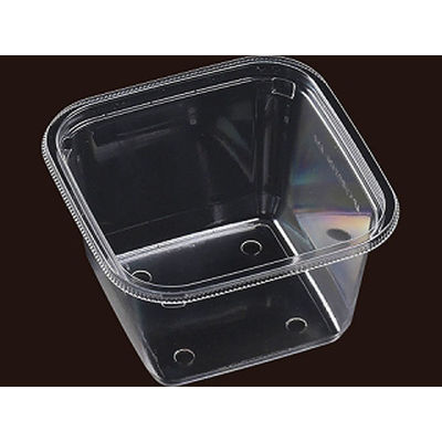 エフピコ サラダ容器 APベジBOX 126-650 本体 7R046425 1袋(50個)（直送品）