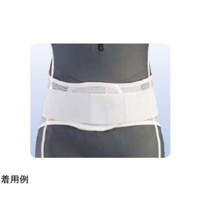 アシスト プロフィット・メッシュ アルミステイ LL 09909 1本 68-4058-81（直送品）