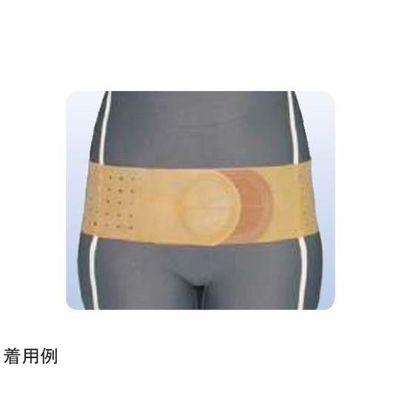 アシスト 丸型骨盤バンド ブラウン SS 18300 1本 68-4059-90（直送品）