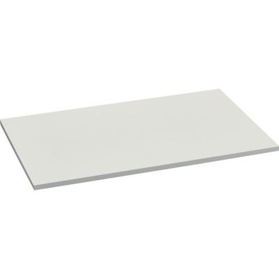 トラスコ中山 TRUSCO FS型工場用保管庫 ケント式扉下置き用追加棚板 W747XD588XH20mm FS-BT 1枚（直送品）