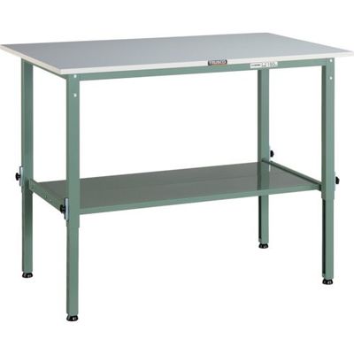 RAEM-1200LT2（直送品）