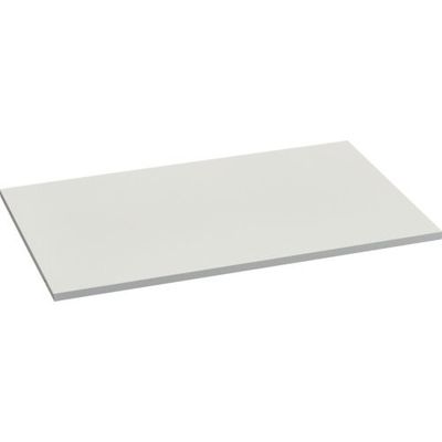 トラスコ中山 TRUSCO FS型工場用保管庫 下置き(両開き・オープン型)用追加棚板 W860XD588XH20mm FS-CT 1枚（直送品）