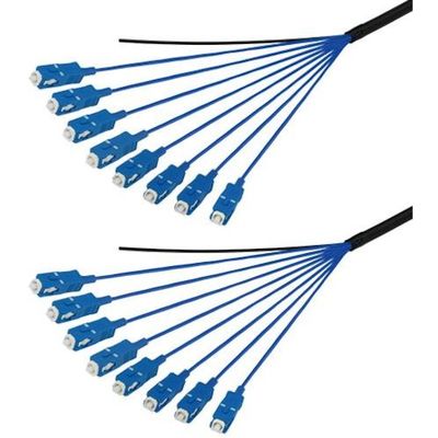 DFC-MMSCSC-FDL81(6M)（直送品）