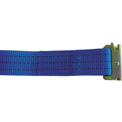 テザック TESAC ラッシングベルト(ベルト荷締機)ラチェットバックル式両端ワンピース付 R30KJB010JB030A 1台（直送品）