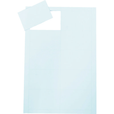 トラスコ中山 TRUSCO ペーパーマグネット 両面タイプ A4 5枚入り TPMAG-A45P 1冊(5枚) 207-6278（直送品）