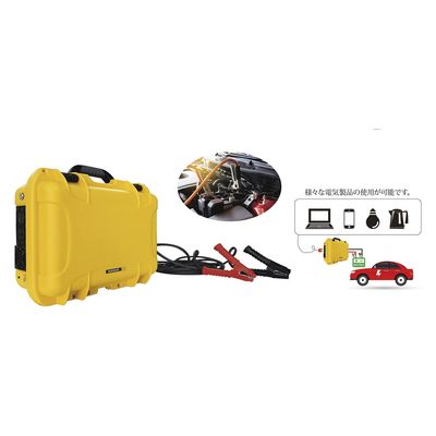 プライム・スター 車両接続型電源 DC/ACコンバータ 50Hz用 25235600 PR-HUG-CAR1.0(50HZヨウ) 1台（直送品）