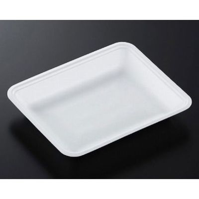 中央化学 トレーCN20ー16F(L)1600枚 177246 1ケース(1600枚) 65-9857-89（直送品）