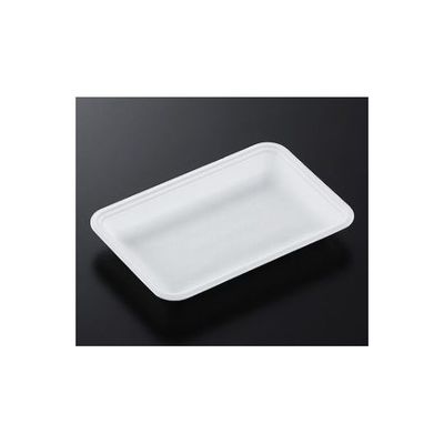 中央化学 トレーCN20ー13E(L)2100枚 178293 1ケース(2100枚) 65-9855-66（直送品）