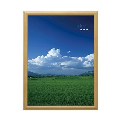 万丈 V ポスター額 A1判 ナチュラル VPF-A1NL 1個 63-5755-71（直送品）